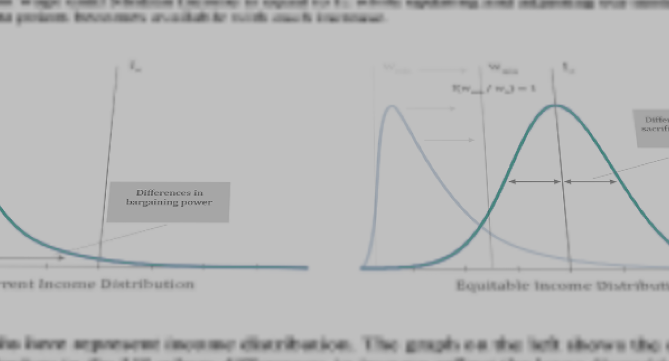 Economic Analysis & Strategy Consulting