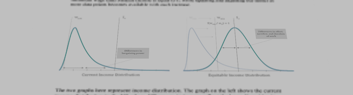 Economic Analysis & Strategic Consulting